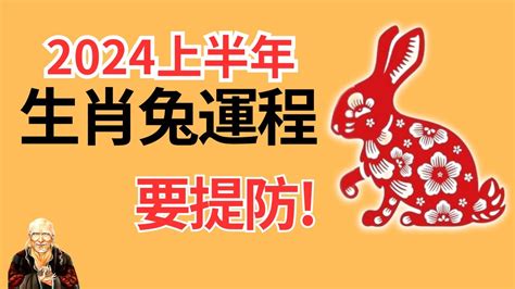 2024 兔年運程 1975|1975属兔2024年运势及运程 1975属兔人2024年全年运势详解